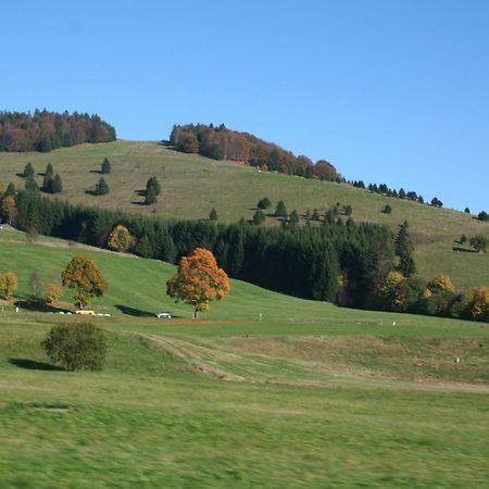 Cozy Holiday Apartment In The Black Forest Dachsberg im Schwarzwald Екстер'єр фото