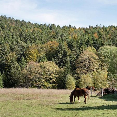 Cozy Holiday Apartment In The Black Forest Dachsberg im Schwarzwald Екстер'єр фото